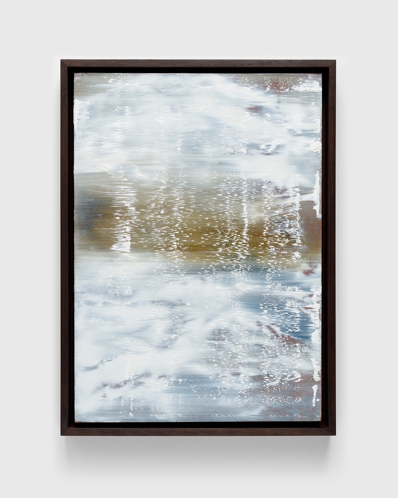 Holbrook Canyon Study